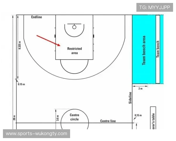 篮球爱好者必看：FIBA与NBA规则核心差异详解